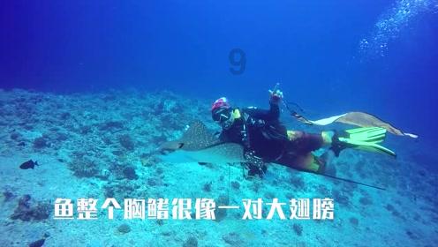 给去世的母亲买佣人可以么？游戏画面